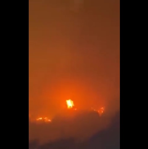 Fire in Forest in Bejaia Viral Video Twitter